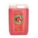 CleanRound Medicated Shampoo Strawberry - CLEARANCE SPECIAL! additional 3