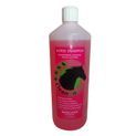 CleanRound Medicated Shampoo Strawberry - CLEARANCE SPECIAL! additional 2