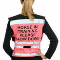 Equisafety Air Hi Vis Waistcoat Horse in Training Please Slow Down additional 2