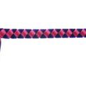 ShowQuest Browband Epson additional 1