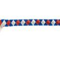 ShowQuest Browband Epson additional 5