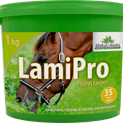 Global Herbs LamiPro Digestive Supplement additional 4