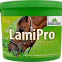 Global Herbs LamiPro Digestive Supplement additional 3