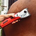 Liveryman Black Beauty Mains Horse Clipper additional 3