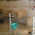 Double Sided Saddle Type Sheep Hayrack Feeder/Basket additional 6