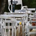 iLivestock eWeigh Bluetooth Livestock Weighing System additional 8