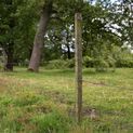 Gallagher Insultimber (FSC®) Post 180x3.8x3.8cm additional 2