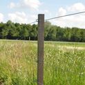 Gallagher Insultimber (FSC®) Post 180x3.8x3.8cm additional 3