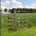 Gallagher Insultimber (FSC®) Strainer post 250x10x10cm additional 2
