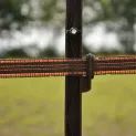 Gallagher TurboLine Terra (Brown) 20mm Electric Fence - 200m additional 3