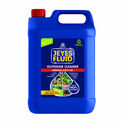 Jeyes Fluid Outdoor Cleaner additional 3