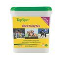 Topspec Electrolytes High Salt Formula additional 3