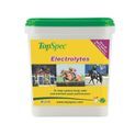Topspec Electrolytes High Salt Formula additional 1