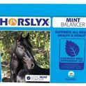 Horslyx Mint Balancer Lick additional 2