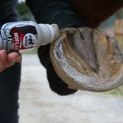 Leovet Hoof Lab Hoof Hardener 200ml additional 2