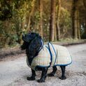 Danish Design Tweed Dog Coat additional 2