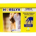 Horslyx Garlic Balancer Lick additional 2