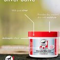 Leovet Silver Ointment additional 2