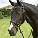 Whitaker Lynton Flash Bridle with Spare Browband Black additional 1