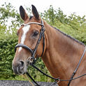 Whitaker Lynton Snaffle Bridle with Spare Browband Havana additional 3