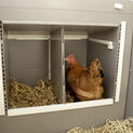 Kerbl Plastic Poultry Hen House "Barney" additional 8