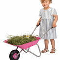 Rolly Toys Metal Children's Wheelbarrow Pink additional 2