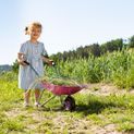 Rolly Toys Metal Children's Wheelbarrow Pink additional 3