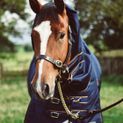 Mackey Wicklow Heavyweight Turnout Rug c/w Detachable Neck 200g additional 3