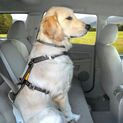 Kurgo Tru-Fit Smart Harness with Seatbelt Tether Black additional 1