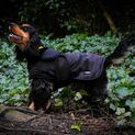 Whitaker Dog Coat Sydney Black Camo additional 1
