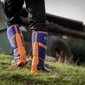 Buckler Buckbootz S5 BBZ8000BLOR Blue &amp; Orange Safety Wellington Boots additional 3