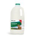 Provita Calf Colostrum Concentrate Powder additional 3