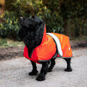 Danish Design Dog Coat Ultimate 2-In-1 Orange additional 10