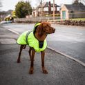 Danish Design Dog Coat Ultimate 2-In-1 Hi Vis Yellow additional 3