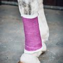 Robinsons Equiwrap Bandage additional 4