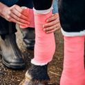 Robinsons Equiwrap Neon Bandage additional 2