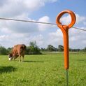 10 x 100cm Gallagher Ring Top Electric Fence Post additional 3