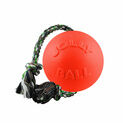 Jolly Pets Romp-N-Roll Jolly Ball 4.5" additional 2