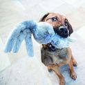 KONG Wubba Friends Dog Toy additional 3