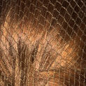 NEW Bitz Hair nets Heavyweight additional 5