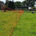 50m x 90cm Gallagher Double Spike Sheep Netting additional 3