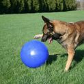 Jolly Pets Push-N-Play 14" Dog Ball additional 2