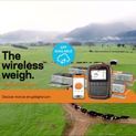Gallagher Heavy Duty Wireless Loadbar set 5000kg - 1000mm - STOCK SPECIAL! additional 2