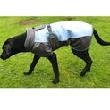 Henry Wag Waterproof Dog Coat additional 1