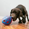 KONG Rewards Wally additional 2