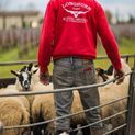 Longhorn Shearing Signature Series Hoodie - Red additional 2