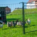 Hotline Rigid Poultry Net Gate 120cm x 80cm additional 2
