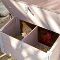 Kerbl Chicken Coop Emma additional 3