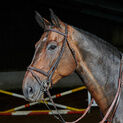 Whitaker Ready To Ride Flash Bridle Havana additional 1