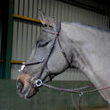 Whitaker Ready To Ride Mexican Bridle Havana additional 1